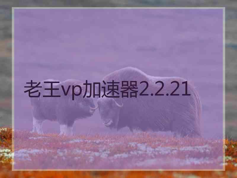 老王vp加速器2.2.21